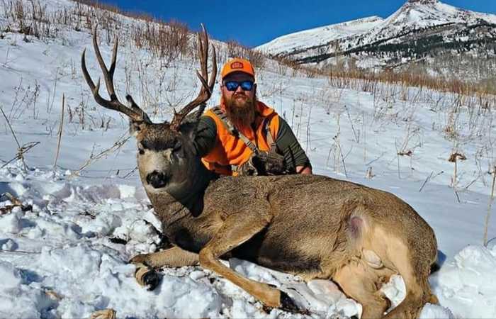 Mountain mule deer harvest in deep snow — earned through days of effort